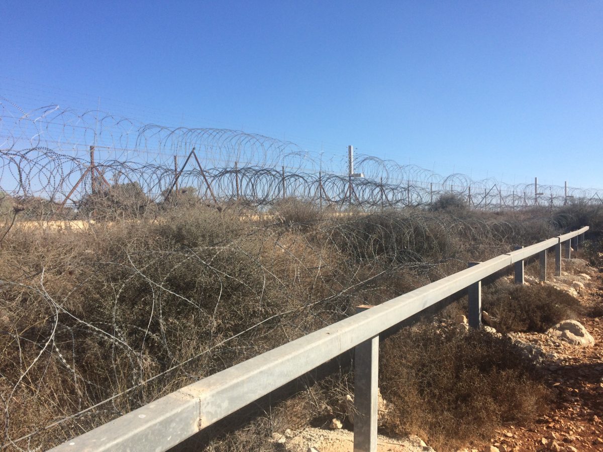 Mardi 16 octobre 2018 - Cueillette des olives à Salfit près de la colonie d'Ariel