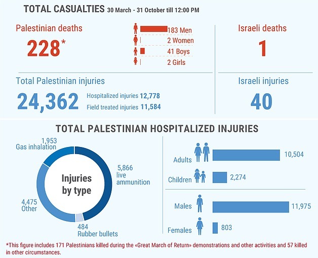 La situation dans la bande de Gaza résumée en 4,42 minutes