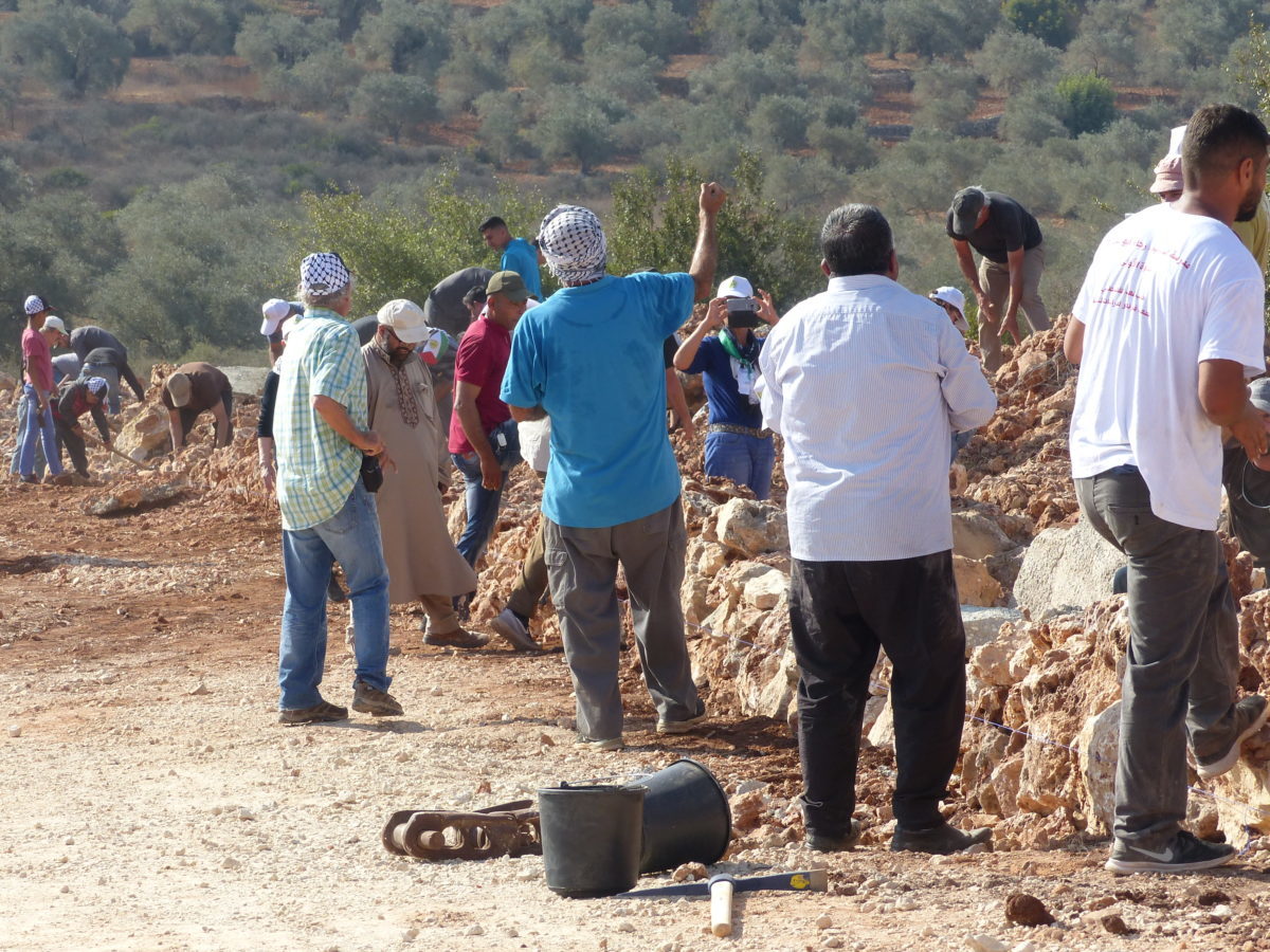 18ème campagne de cueillette des olives en Palestine occupée, Farkha, le 12 octobre