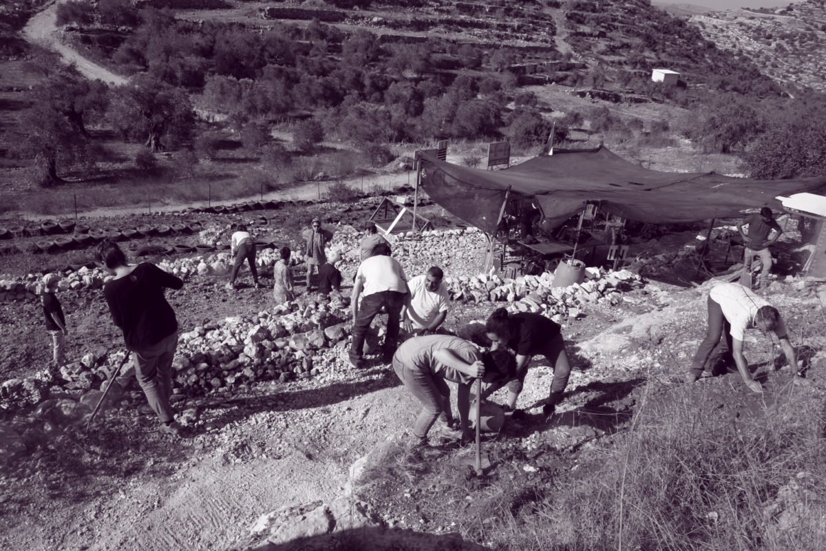 18ème campagne solidaire de cueillettes des olives en Palestine occupée - Samedi 5 octobre