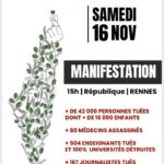 Solidaires avec la Palestine et le Liban : Non à la barbarie, samedi 16 nov à 15h place de la République